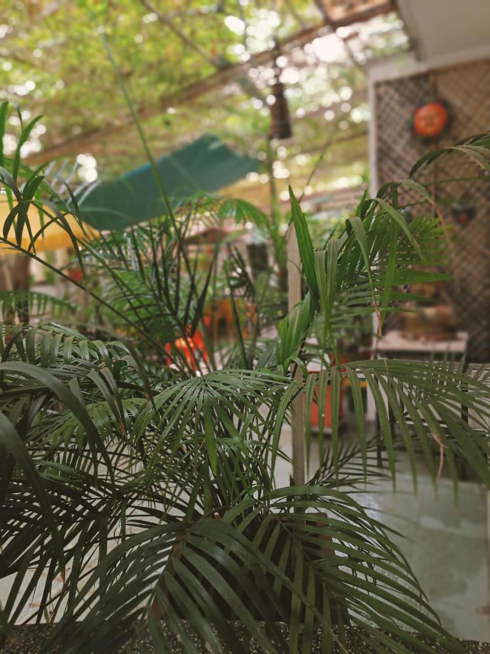 Srinekatan Heritage Villa Homestay Ahmedabad Buitenkant foto